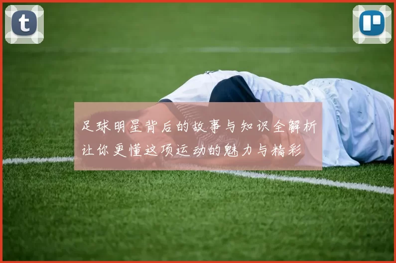 足球明星背后的故事与知识全解析让你更懂这项运动的魅力与精彩